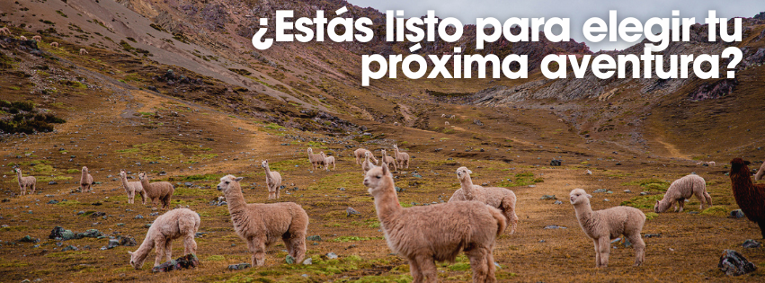 LA RUTA DE COLORES CEO.png