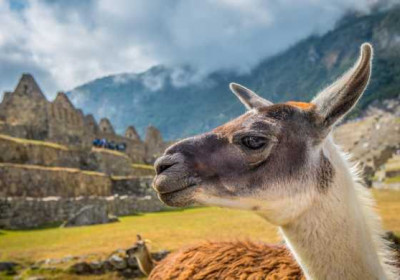 Cusco Mágico 6D 5N